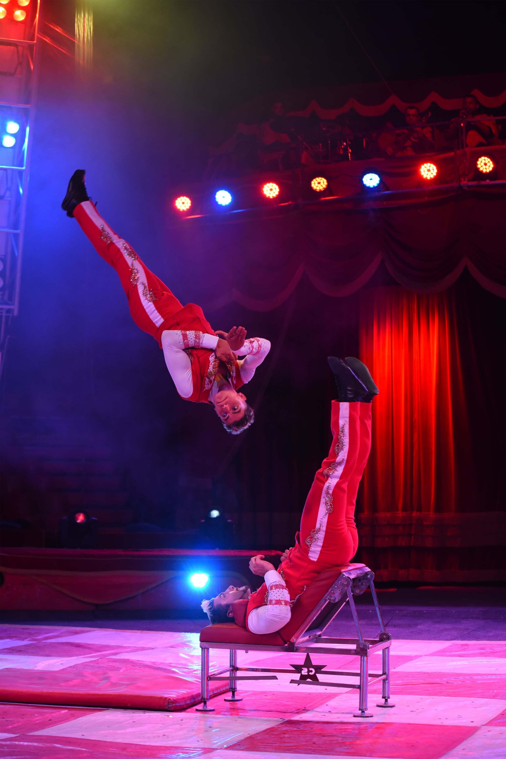Circus Martini Stars_0002_WhatsApp Image 2025-01-30 at 11.14.15 (2)